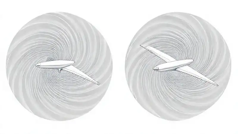 Diagramas de vuelo muestran sutiles diferencias
